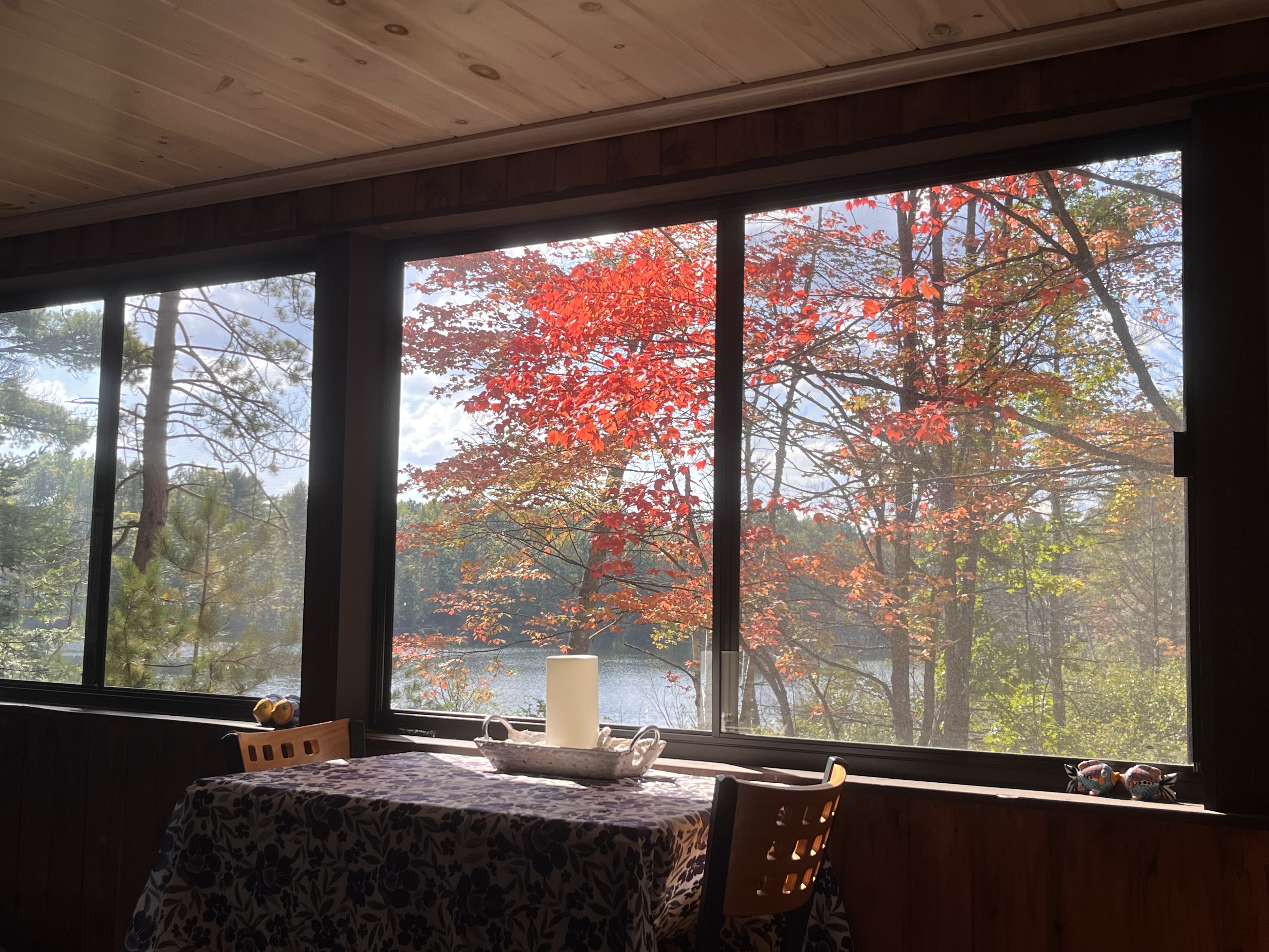 Cabin on Private Dog Lake